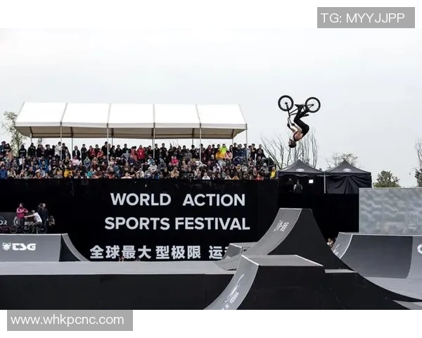 成都极限运动队的控制分析与发展趋势探讨