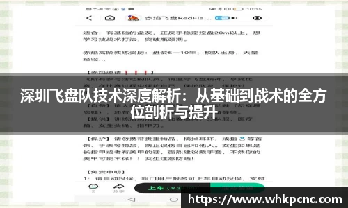 深圳飞盘队技术深度解析：从基础到战术的全方位剖析与提升