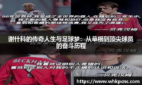 爱游戏ayx官方网站