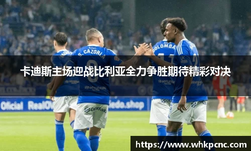 爱游戏ayx